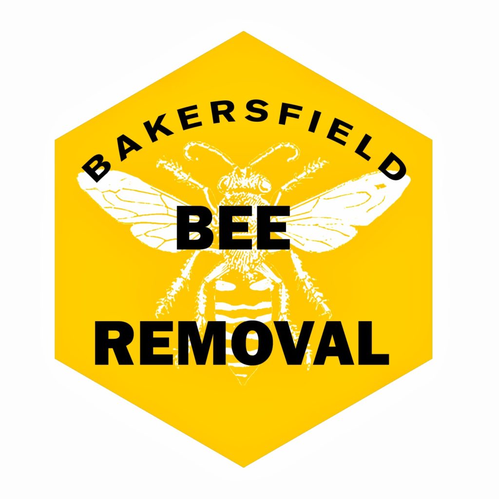 Bakersfield Bee Removal
