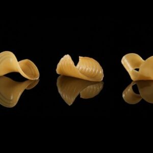 MIT researchers create flat-pack food that takes shape in water
